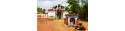 159. திருநாலூர் மயானம்